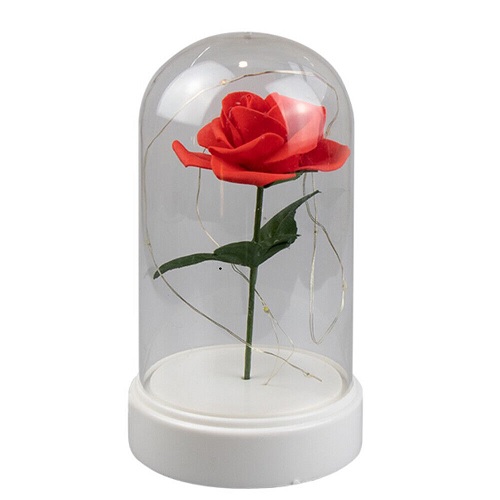 Valentine's Day Rose Cloche Jar LED Light Up Wire Gift Present Him / Her 19cm