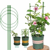2216  Conical Garden Plant Support Ring for Different Sized Pots Support Flowers Stalk