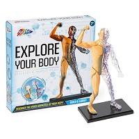 Add a review for: Amazing Human Body Activity Sets 