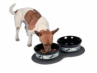 2216 Waterproof Double Pet Bowl Mat Cat/Dog Feeding Water Food Dish Tray Wipe Clean *